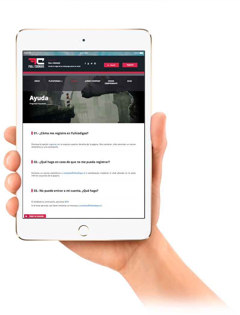 desarrollo web